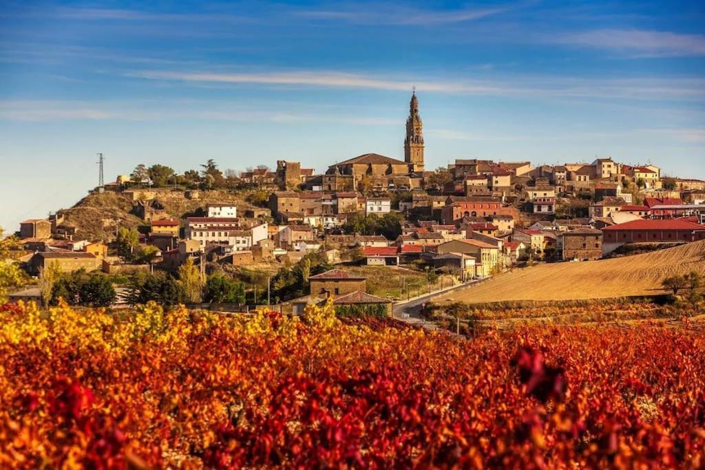 Вилла Chalet Entero En La Rioja Брионес Экстерьер фото